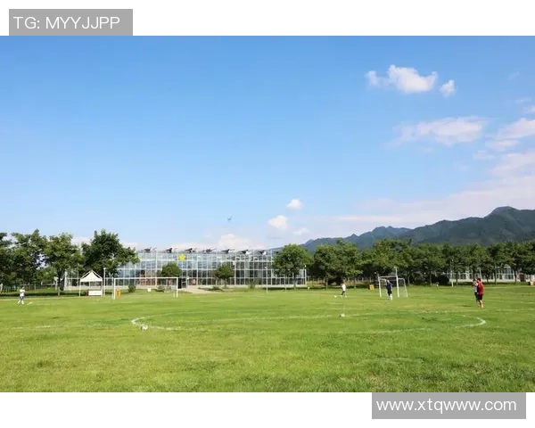 广州足球营地助力青少年成长打造足球梦想的摇篮与未来之路